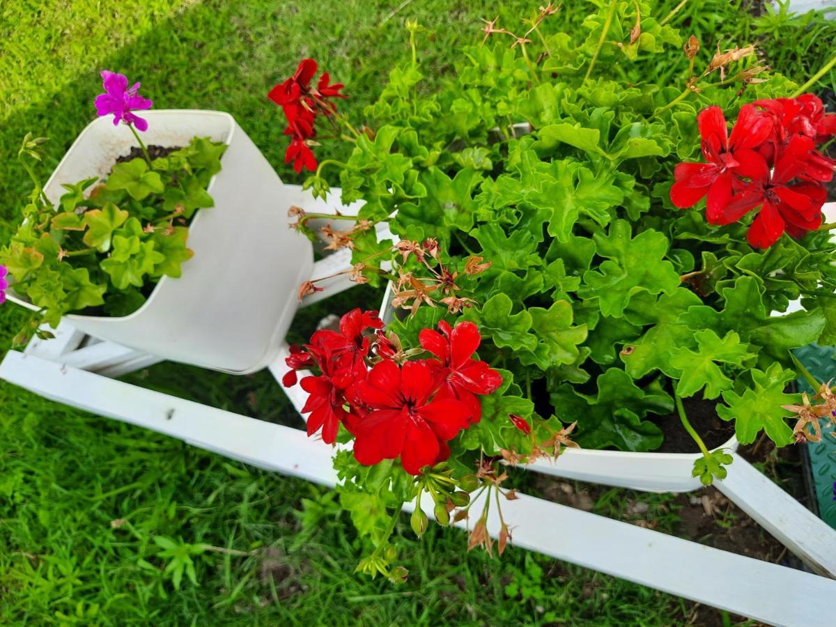 Vila Pushimi Regis Velipojë Εξωτερικό φωτογραφία